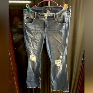 Torrid Jeans